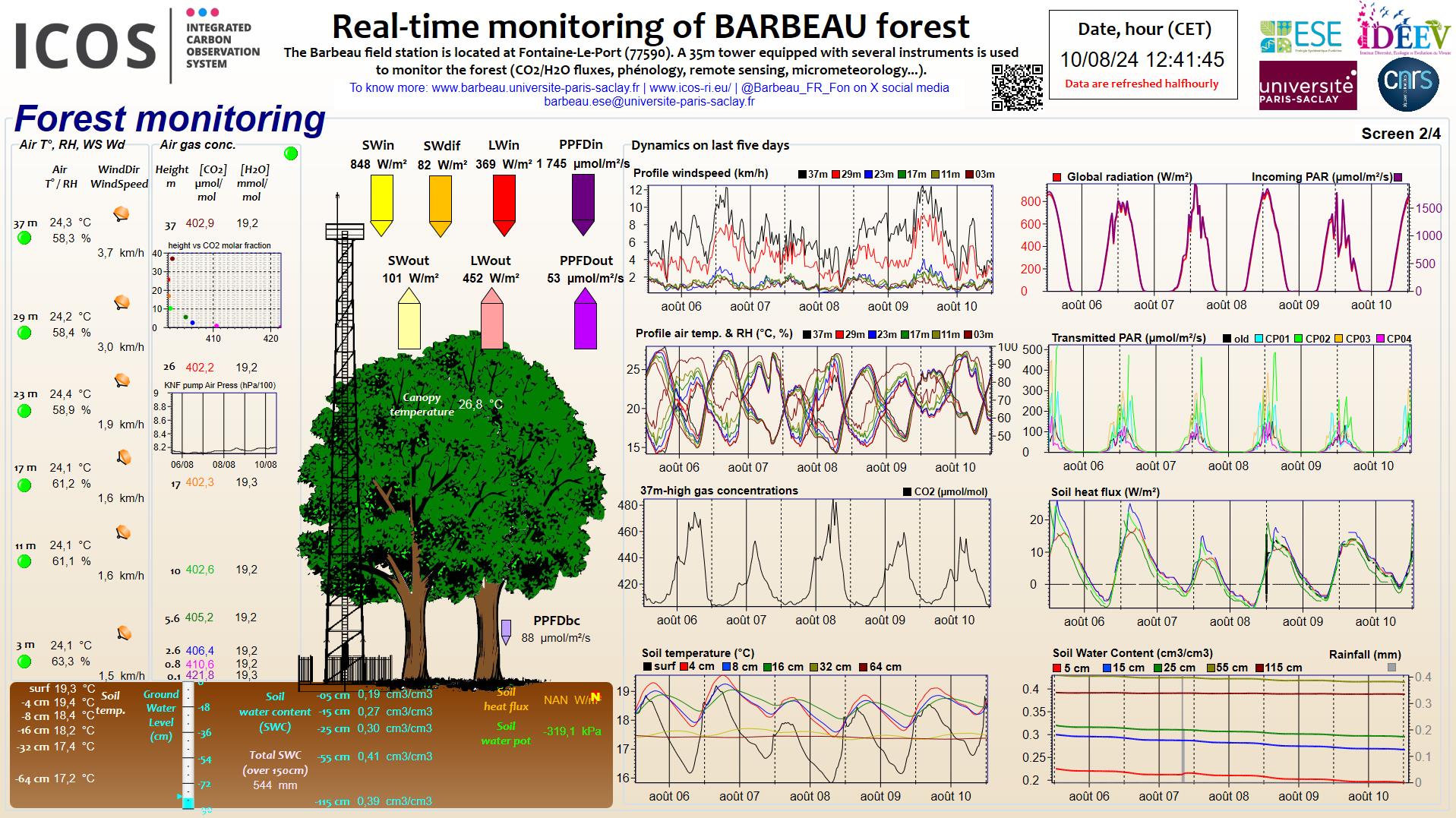 Forest data